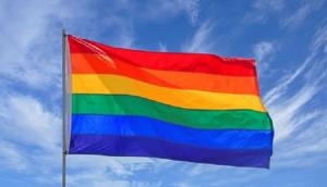 Why do some countries disapprove of homosexuality? Money, democracy and religion