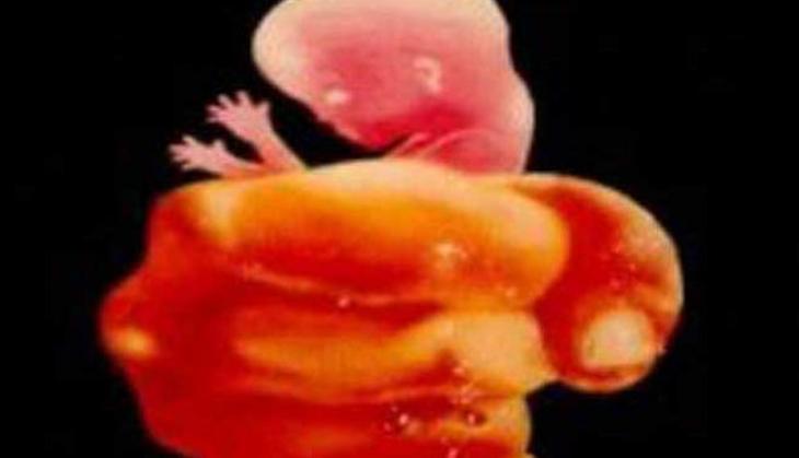Maharashtra, Karnataka join hands to curb cross border female foeticide racket