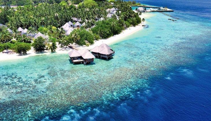 Maldivee