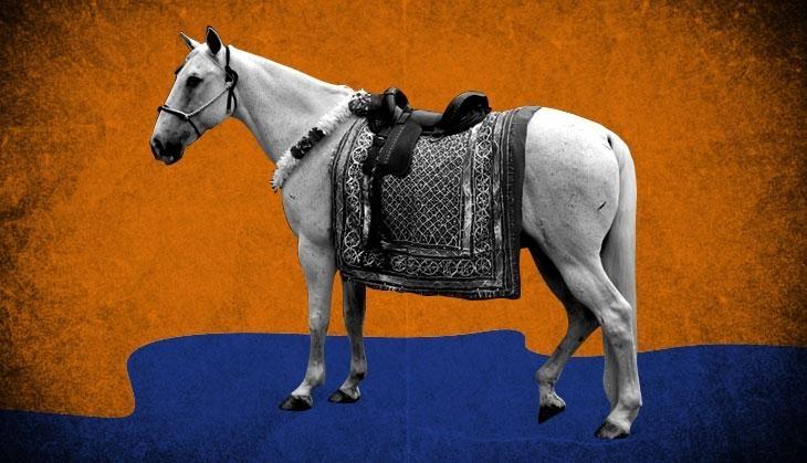 horseback