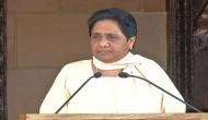 Cow vigilantism: Centre not doing their duty, hence SC interfered, says Mayawati
