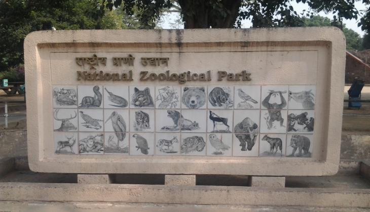 Empty enclosures welcome visitors at Delhi zoo