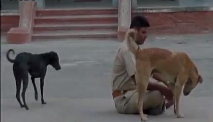 Viral Video: Drunken cop inside Rajasthan's Sirohi police station gets suspended