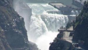 India accepts Islamabad's reservations on Miyar Dam: Pakistan media on Indus Water Treaty