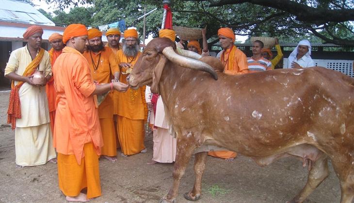 Why Yogi Adityanath's love for animals doesn't nullify his politics of hate  | Catch News