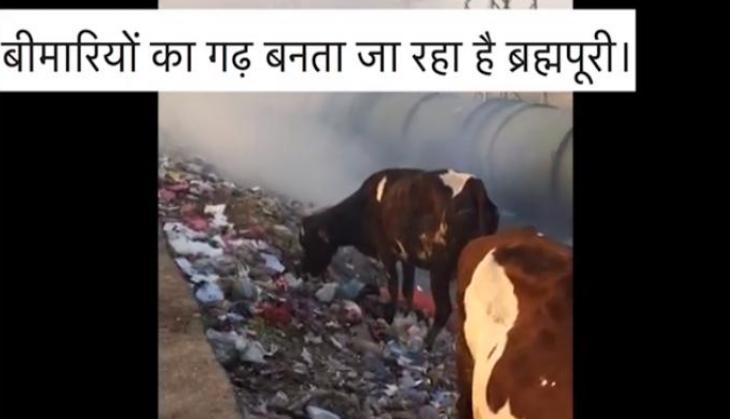 Delhi: Genuine concern or political tactic? Youth Congress worker uploads video of filthy Brahmpuri