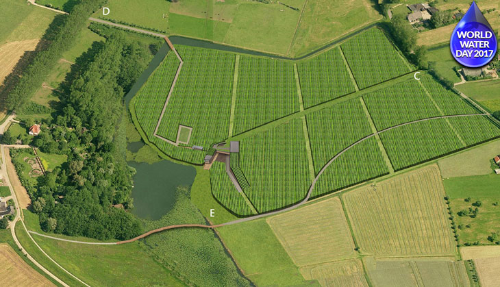 World Water Day: Your future food will be grown with waste water