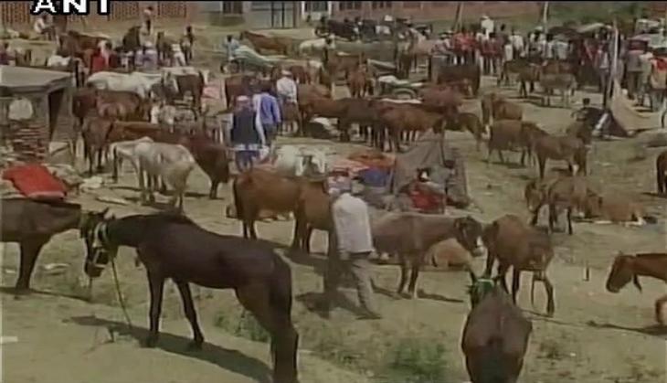 Unique 'Donkey Fair' concludes in UP's Kaushambi