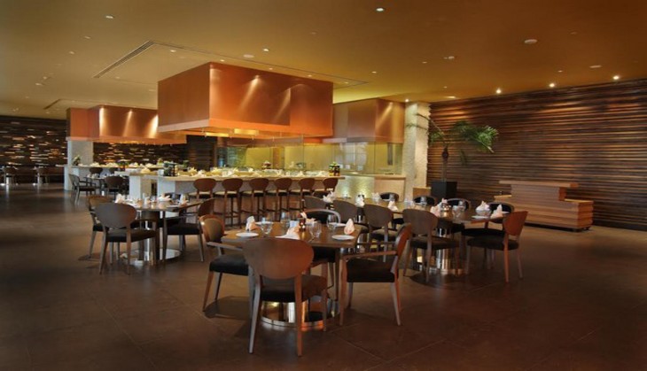 Turn up the dark to raise awareness about 'Earth Hour Day' at Radisson Blu