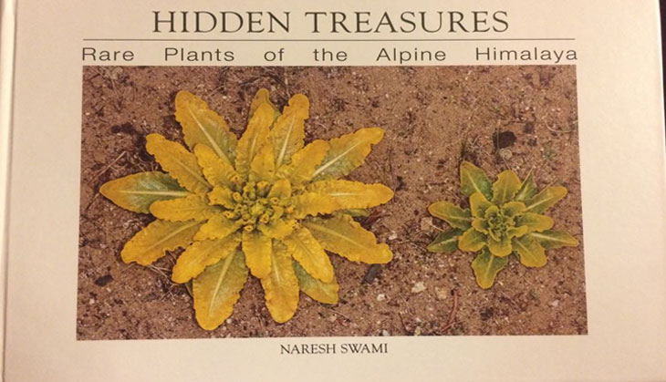 Hidden Treasures: Rare Plants of the Alpine Himalayas is one man's quest to collate 100 species