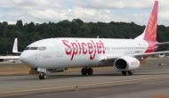 Kolkata Shocker: SpiceJet technician dies during aircraft maintenance, neck gets stuck in hydraulic flap