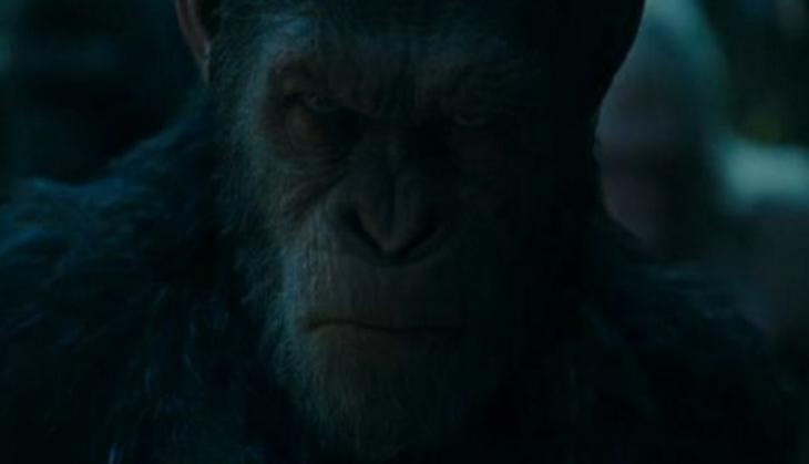  Humans and Apes square off in new 'War for the Planet of the Apes' trailer
