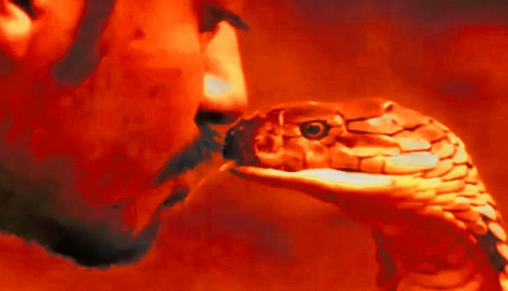 Snake kissing a man