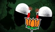 To expose Trinamool's 'tall claims', BJP to organise Muslim convention 