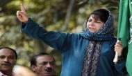 Mehbooba shouldn't wade into foreign policy issues: Activist