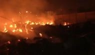 Alwar: Major fire broke out in Sariska tiger reserve