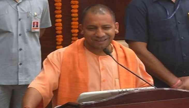 yogi