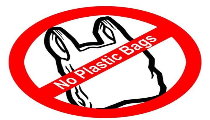 Maharashtra bans plastic bags, becomes 18th state to do so