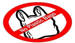 Plastic ban enforced in six cities of Odisha on the occasion of Mahatma Gandhi's 149th birth anniversary