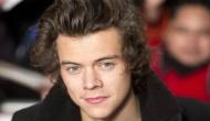 One Direction star Harry Styles has world's most handsome eyes, chin: Study