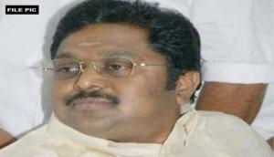 Dinakaran named accused for offering bribe for 'two leaves' symbol
