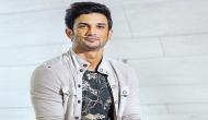 Dumb people get affected by stardom: Sushant Singh Rajput