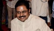 Trouble for TN CM? Out on bail, Dinakaran takes 10 MLAs to meet Sasikala