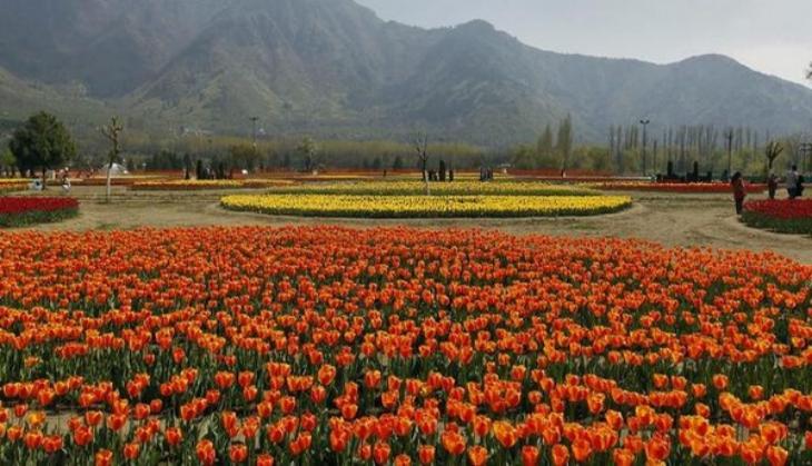 Jammu-Kashmir: Restoration work of gardens, parks on full swing