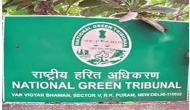 Delhi: NGT appoints 10 lawyers as commissioners for checking dengue menace