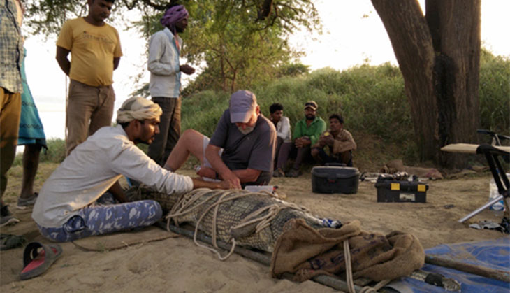 Must act now to save the Chambal: Experts