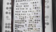 262 coins seized back in January declared to be antique