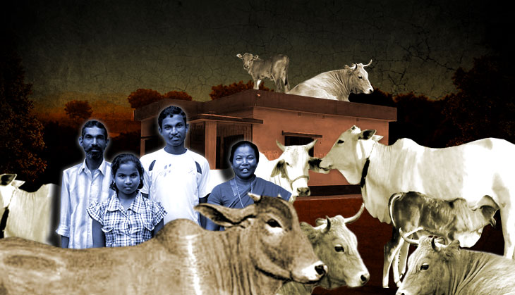 Cattle can no longer be sold for slaughter: new law will destroy small farmers