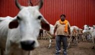 Declare cow the national animal: JD (U) to Centre