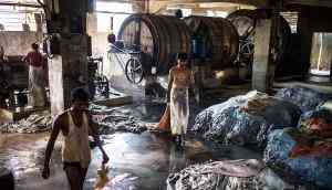 Cow slaughter ban: Bengal opposes Centre's move, leather industry to be hit