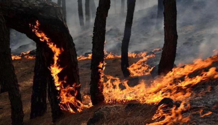 vaishno devi fire