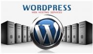 Difference Between Free And Paid WordPress Hostings