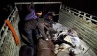 Cattle ban: Cong attacks Centre, says even BJP leaders eat beef