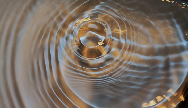 Companies should take charge of the potential toxins in common products