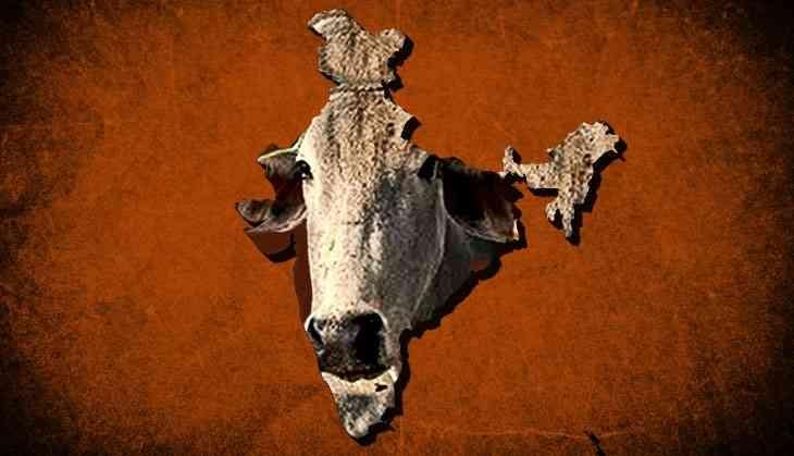 Cow