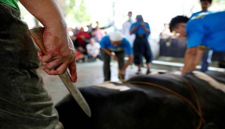 Kerala Police arrest eight Youth Congress workers for killing ox