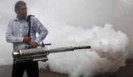Dengue, chikungunya menace: Delhi HC raps MCD over 'zero preparation'