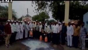 Maharashtra: Protesting farmers continue to spill milk down roads