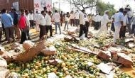 Farmers hopeful for 'pro-farmer' decision amid CM Chouhan's indefinite fast