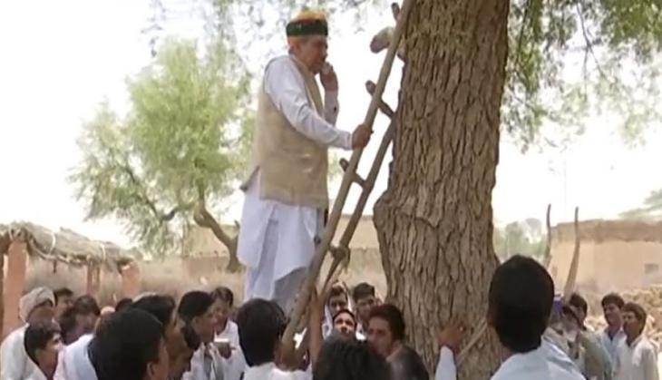 Image result for central minister arjun ram climb tree