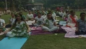 Moradabad residents practice yoga, plant trees on World Environment Day
