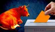 Cow being used as a passive political tool in Modi's backyard Gujarat