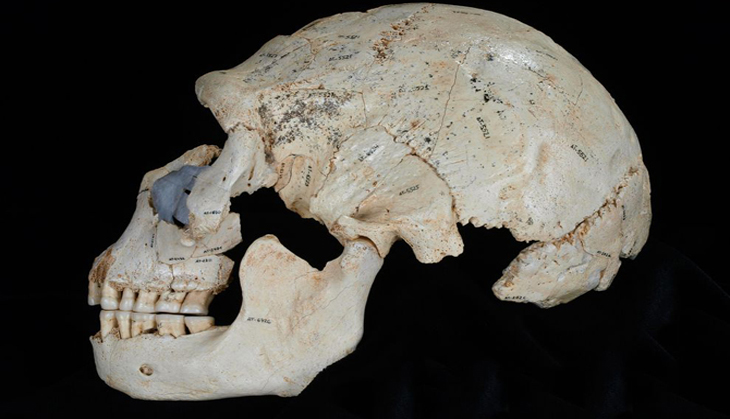 New Moroccan fossils suggest humans lived and evolved across Africa 100,000 years earlier than we thought