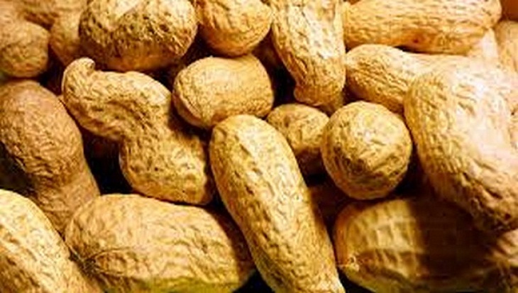 Introduce egg, peanut early to newborns to prevent asthma