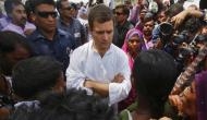 Rahul Gandhi finds fault with Rajasthan's flood rehabilitation work
