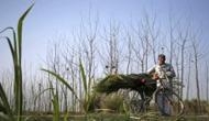 Maharashtra Govt. announces complete loan waiver to farmers
